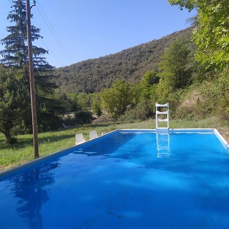 La Grenouille Bed & Breakfast Valleraugue Eksteriør bilde